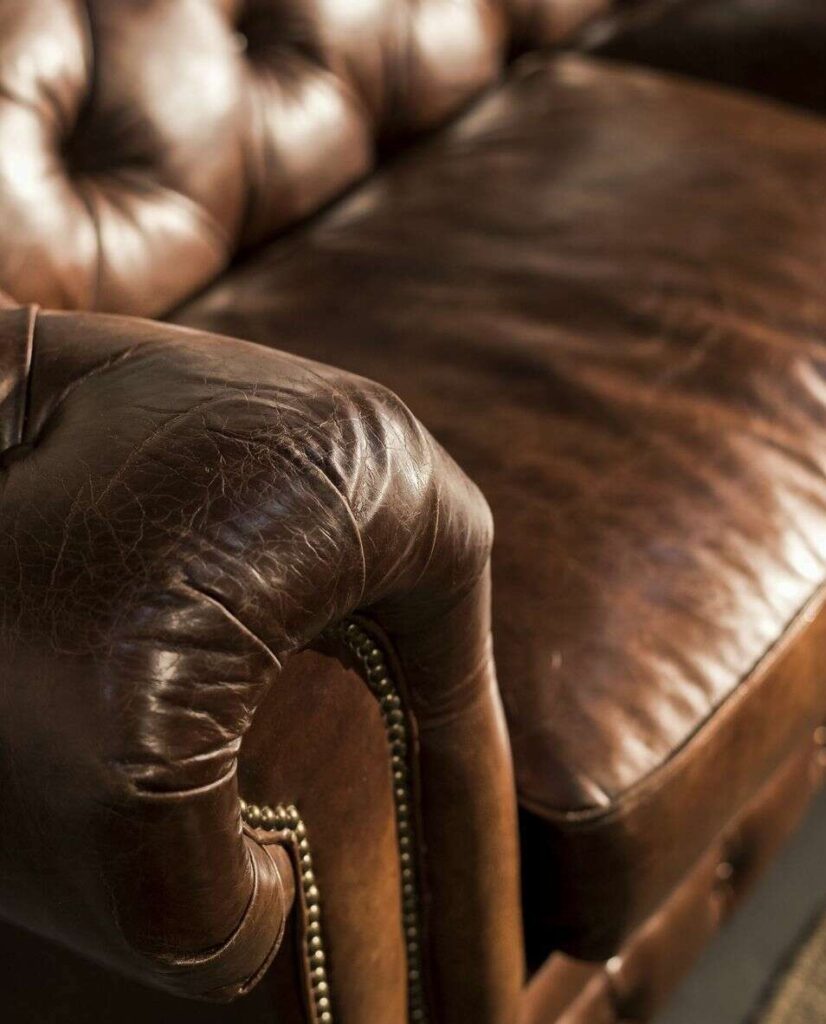 Cuidado de tus muebles 1 CUERO 2